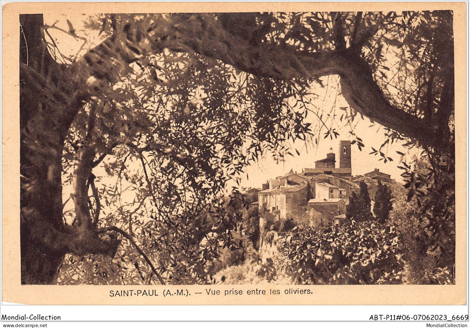 ABTP11-06-1026 - SAINT-PAUL-DE-VENCE- Vue Prise Entre Les Oliviers - Saint-Paul