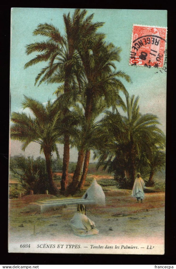 963 - TUNISIE - SCENES ET TYPES - Tombes Dans Les Palmiers - Tunisia