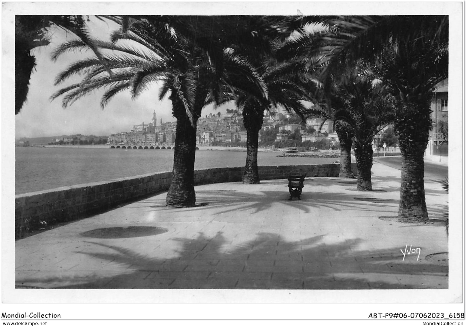 ABTP9-06-0769 - MENTON - La Ville Vue A Travers Les Palmiers - Menton