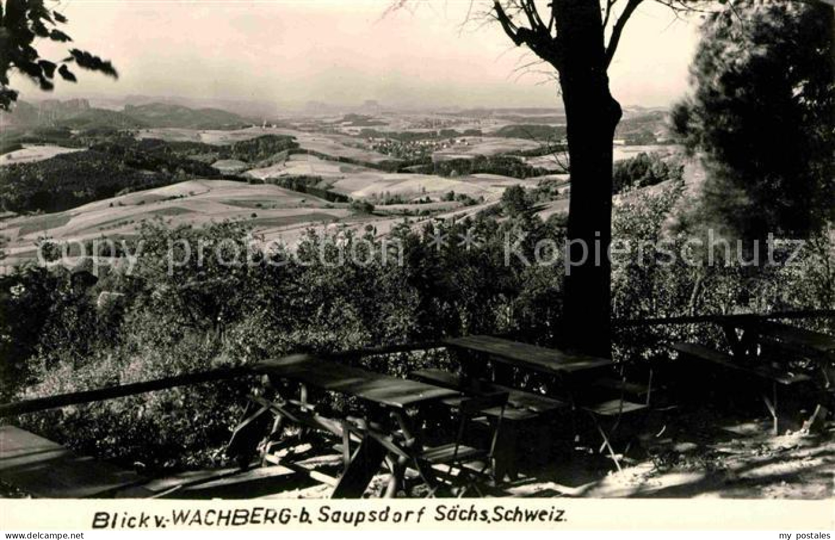 72634567 Saupsdorf Wachberg Kirnitzschtal - Kirnitzschtal