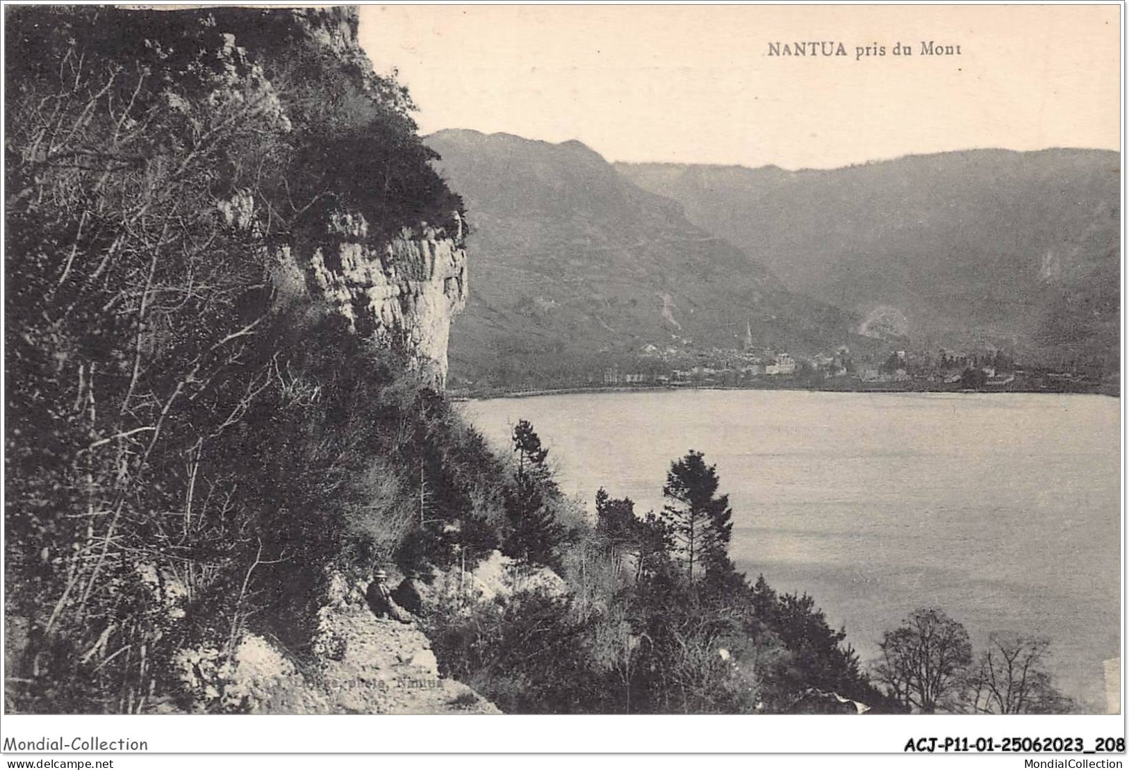 ACJP11-01-1038 - NANTUA - Pris Du Mont  - Nantua