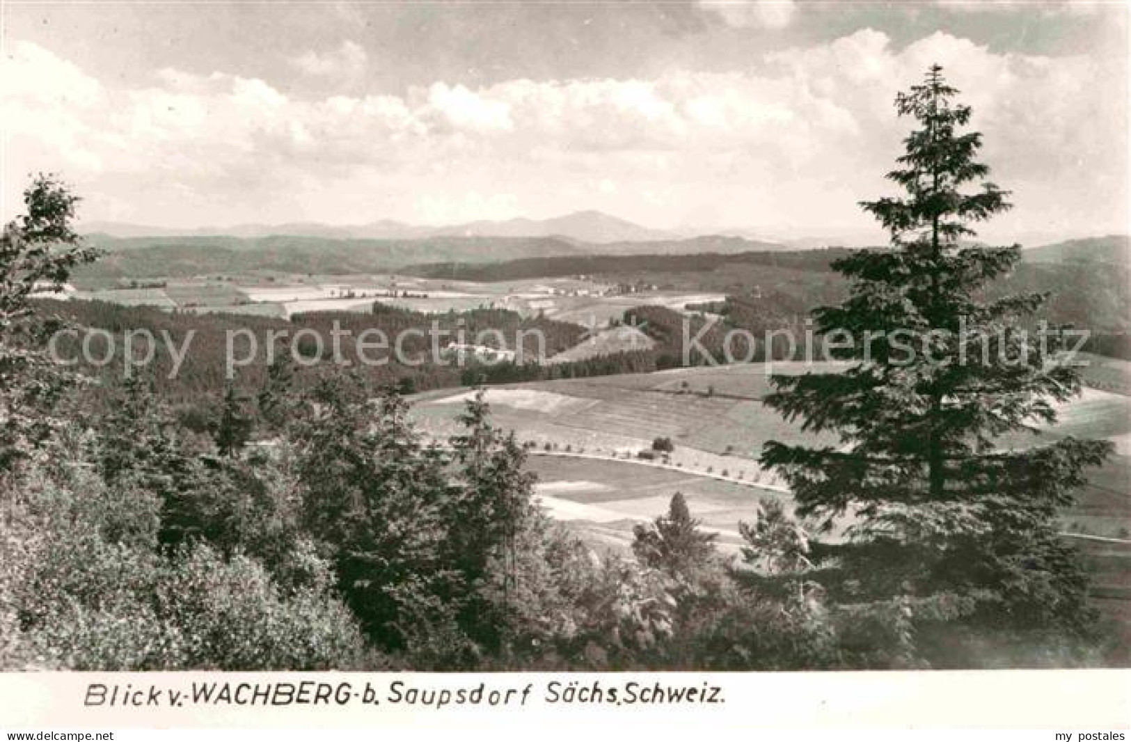 72634539 Saupsdorf Wachberg Panorama Kirnitzschtal - Kirnitzschtal