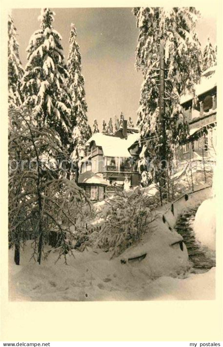 72634534 Waldbaerenburg Winterlandschaft Hotel Pension Alexanderhaus Waldbaerenb - Altenberg