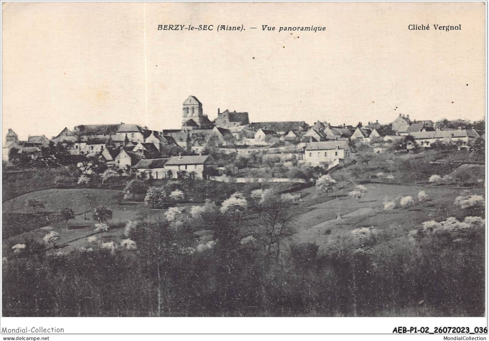 AEBP1-02-0019 - BERZY-LE-SEC - Vue Panoramique  - Soissons