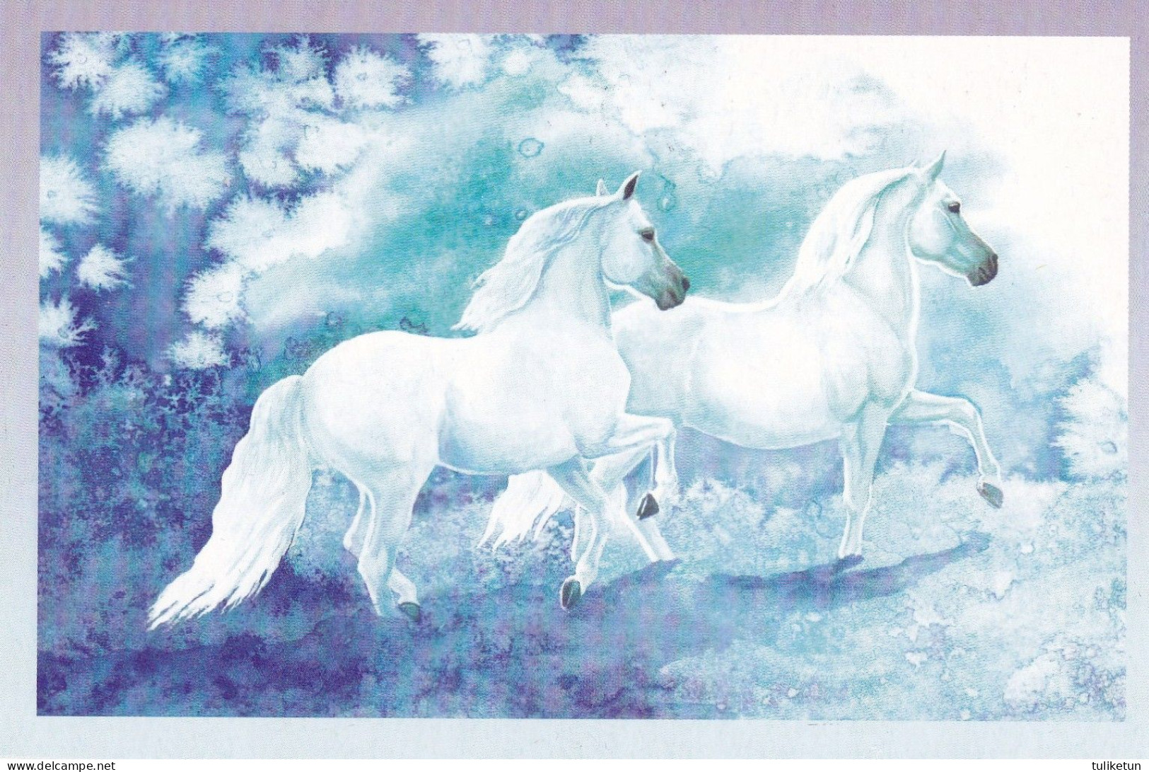 Horse - Cheval - Paard - Pferd - Cavallo - Cavalo - Caballo - Häst - 6 Mini Postcards - Villivarsa - Wild Foal - Cavalli