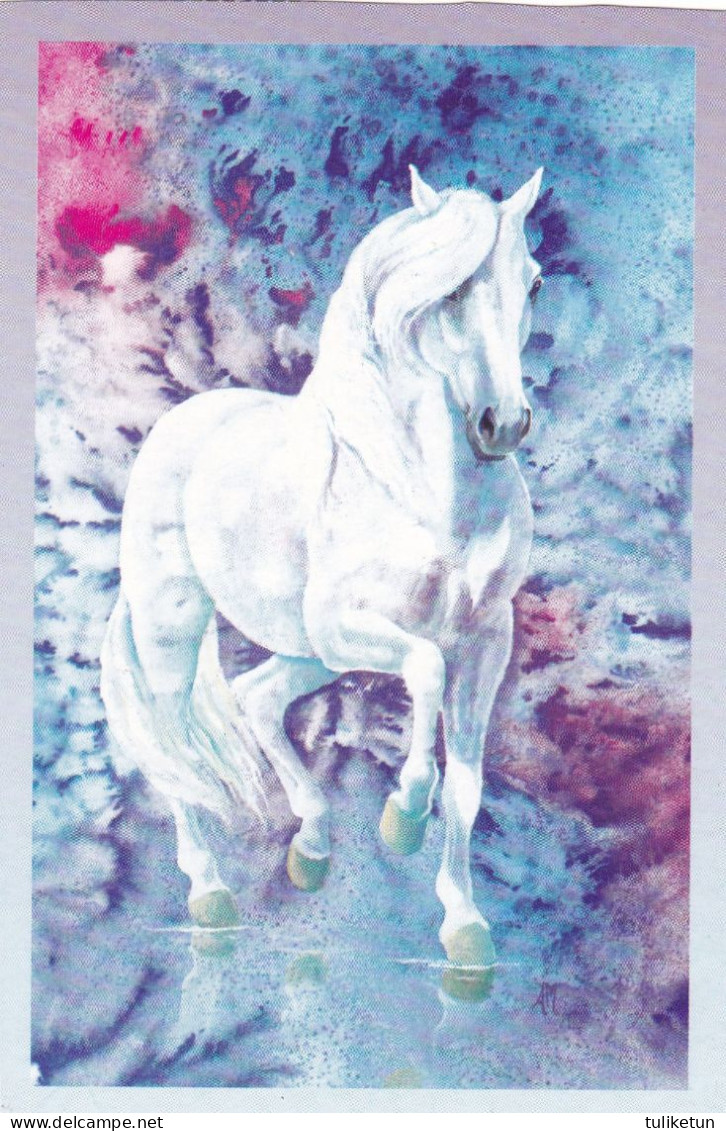 Horse - Cheval - Paard - Pferd - Cavallo - Cavalo - Caballo - Häst - 6 Mini Postcards - Villivarsa - Wild Foal - Cavalli