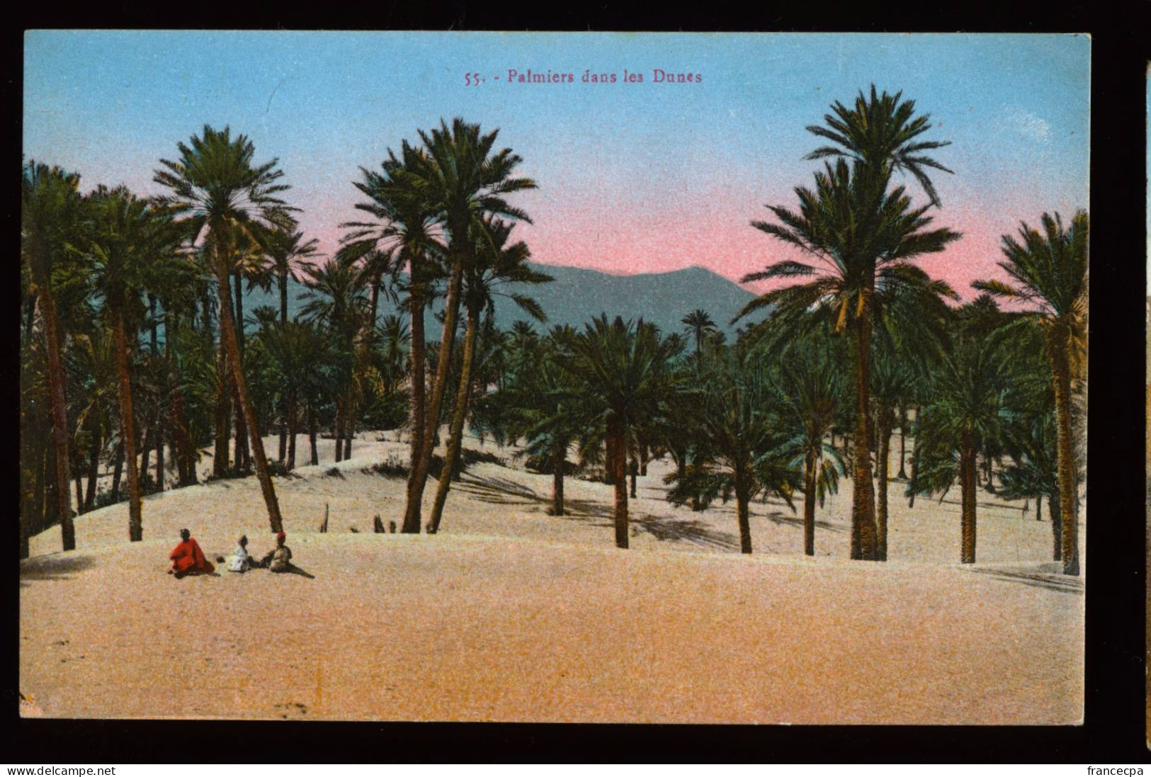 971 - TUNISIE - Palmiers Dans Les Dunes - Tunisie