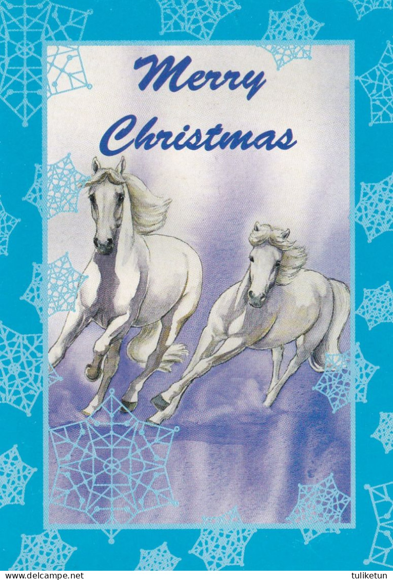 Horse - Cheval - Paard - Pferd - Cavallo - Cavalo - Caballo - Häst - 2 Mini Postcards - Villivarsa - Wild Foal - Paarden