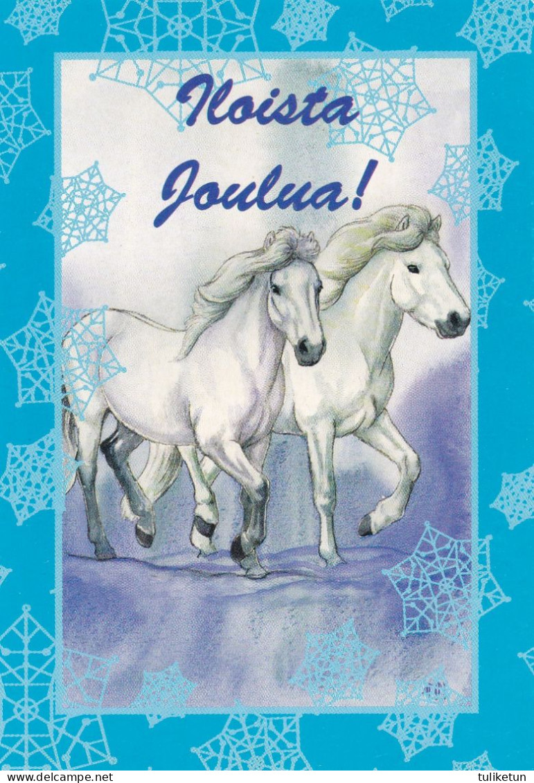 Horse - Cheval - Paard - Pferd - Cavallo - Cavalo - Caballo - Häst - 2 Mini Postcards - Villivarsa - Wild Foal - Chevaux