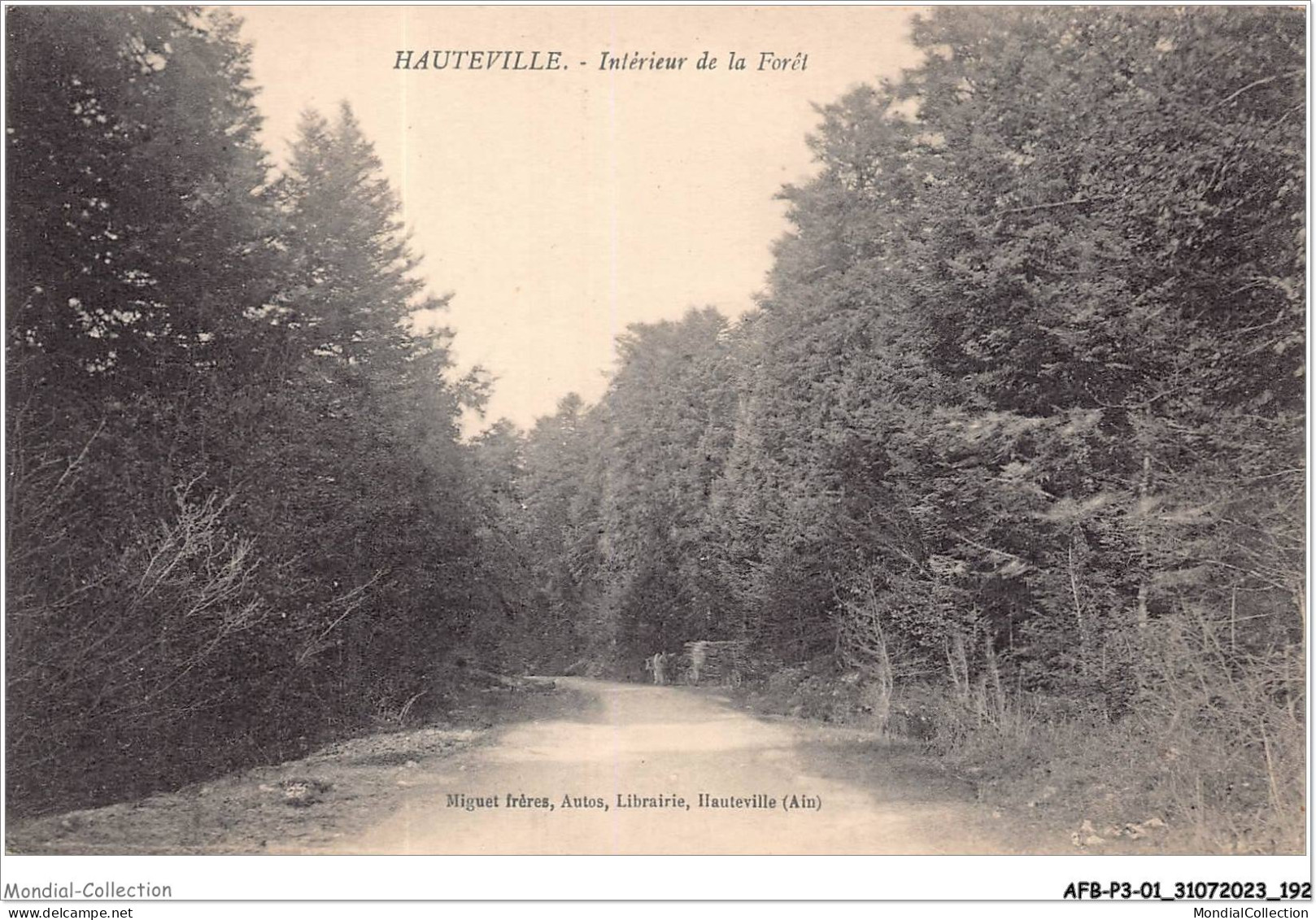AFBP3-01-0318 - HAUTEVILLE - Intérieur De La Foret - Hauteville-Lompnes