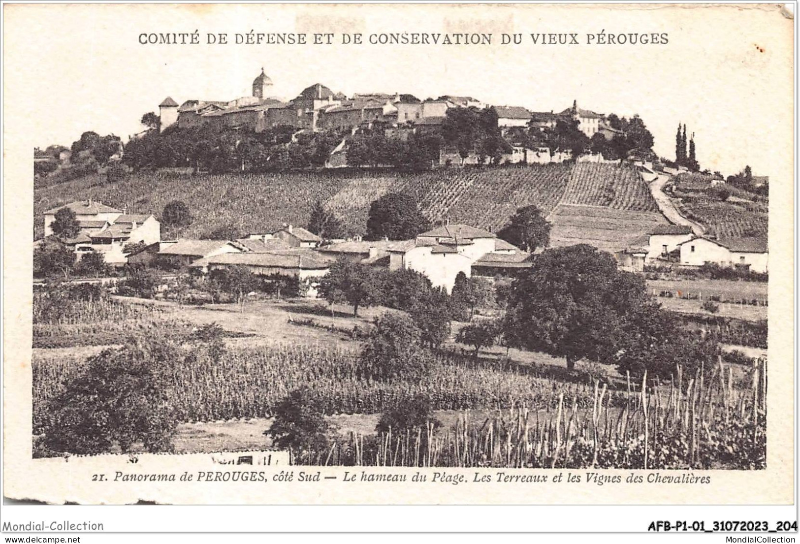 AFBP1-01-0103 - PEROUGES - Panorama De Perouges Coté Sud - Le Hameau Du Péage  - Pérouges