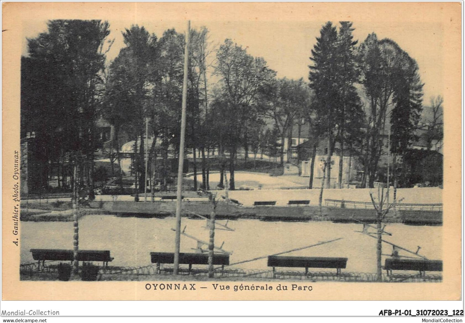 AFBP1-01-0062 - OYONNAX - Vue Générale Du Parc - Oyonnax
