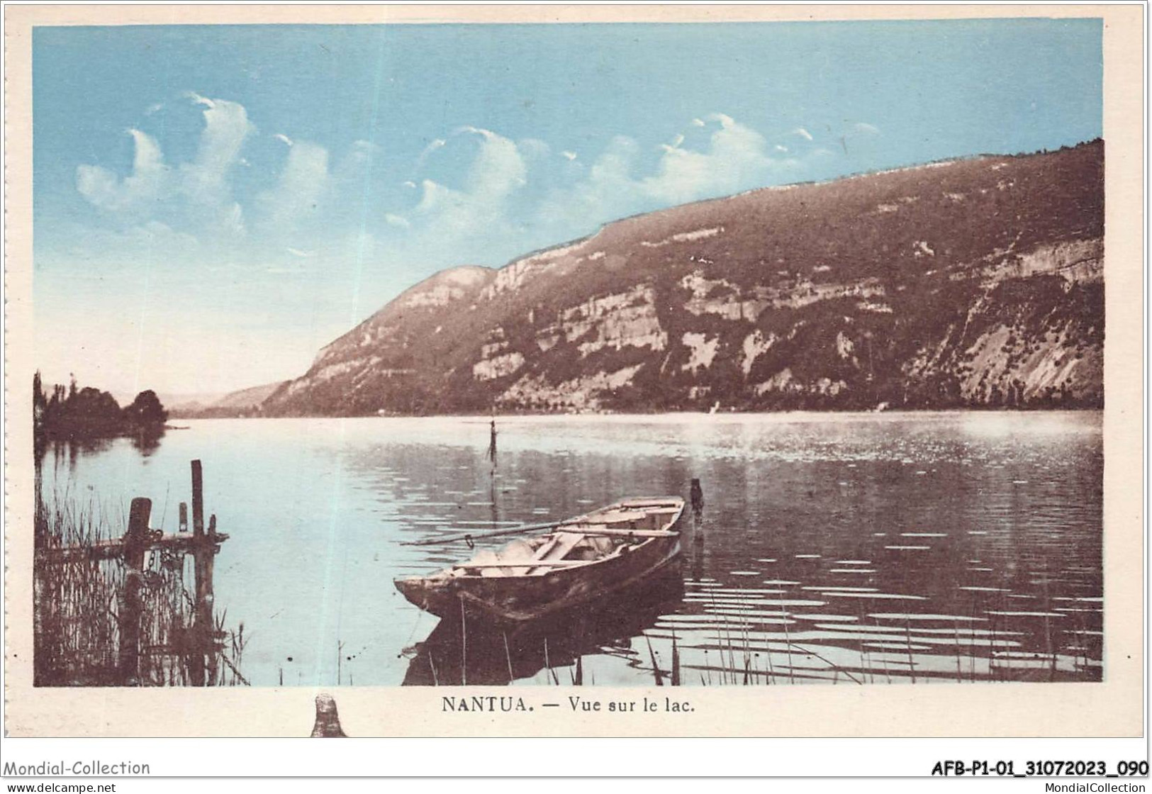 AFBP1-01-0046 - NANTUA - Vue Sur Le Lac - Nantua