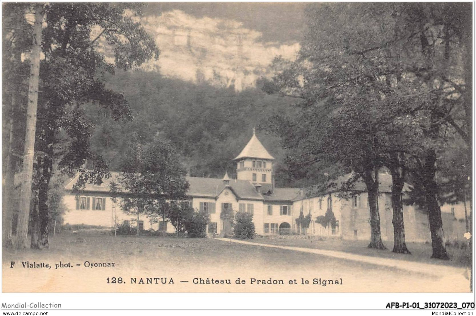 AFBP1-01-0036 - NANTUA - Chateau De Patron Et Le Signal - Nantua