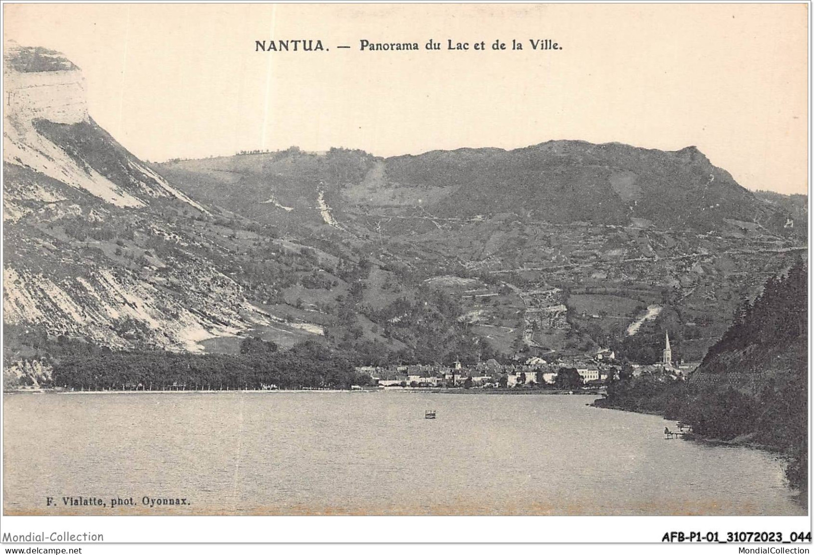 AFBP1-01-0023 -  NANTUA - Le Coin Pqnorqmq Du Lac Et De La Ville - Nantua