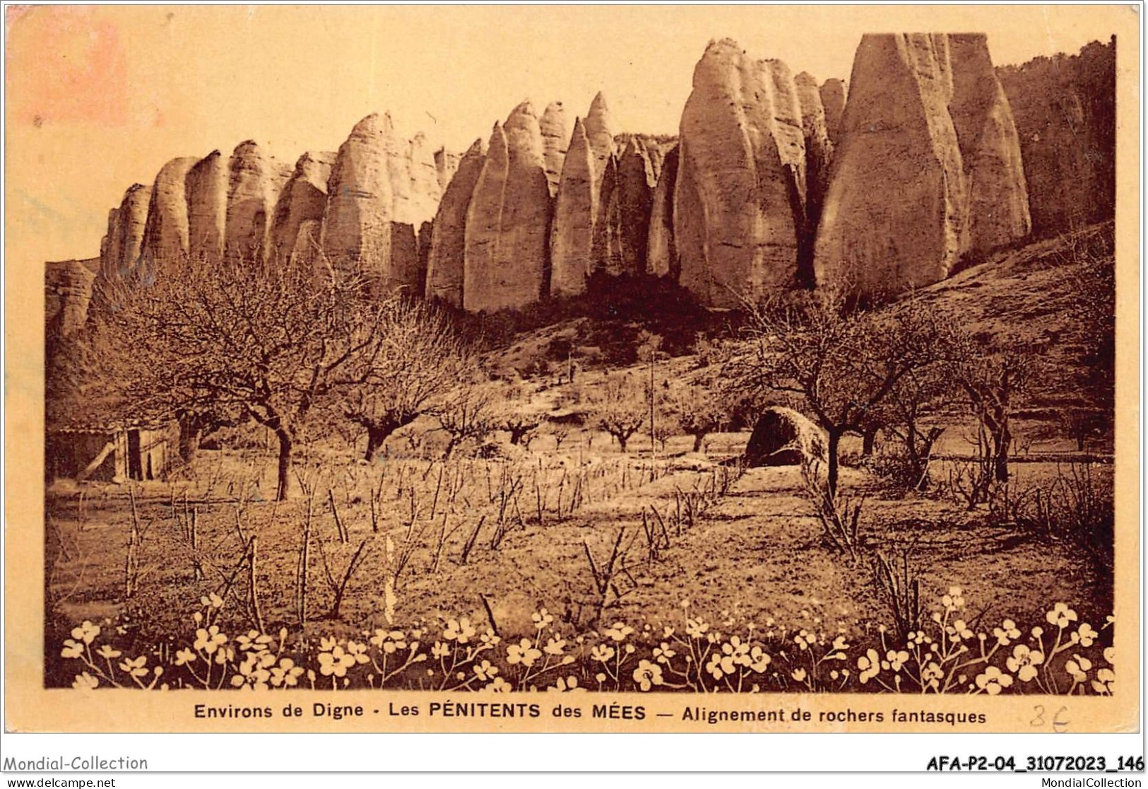 AFAP2-04-0161 - Environs De DIGNE - Les Pénitents Des Mées - Alignement De Rochers Fantasque - Digne