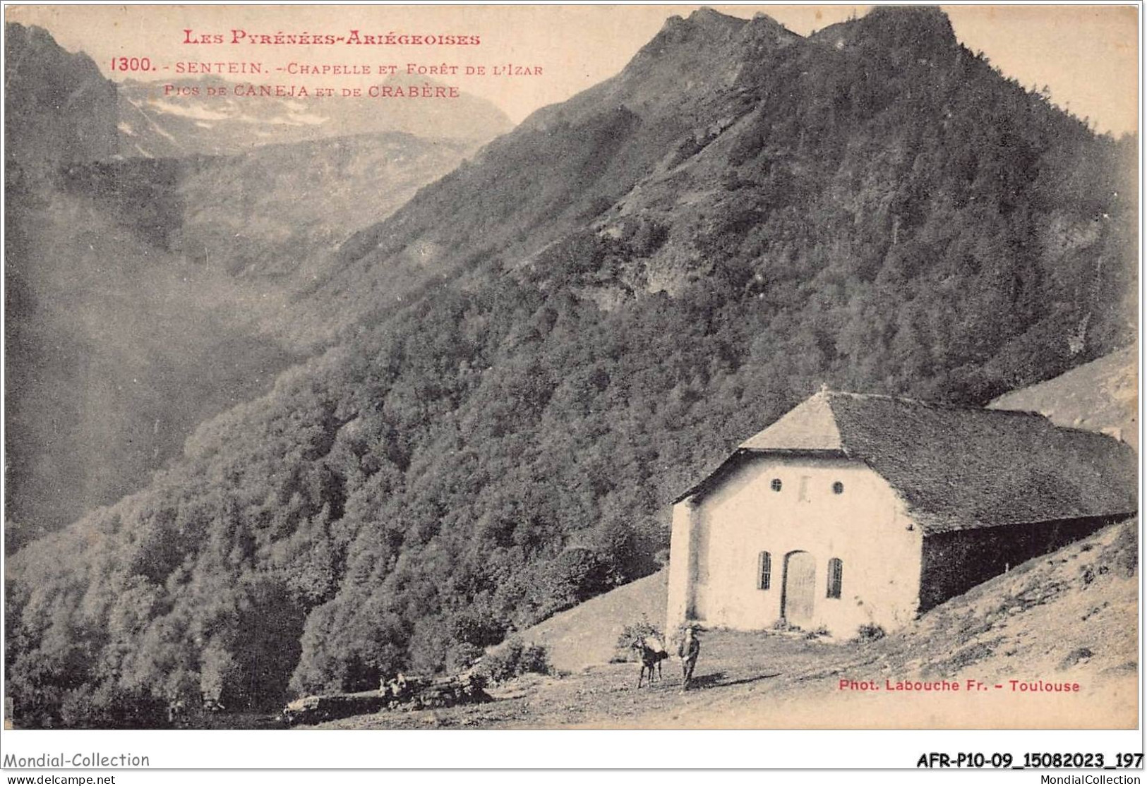 AFRP10-09-0986 - SENTIEN - Chapelle Et Forêt De L'izar - Pics De Caneja Et De Crabère - Saint Girons