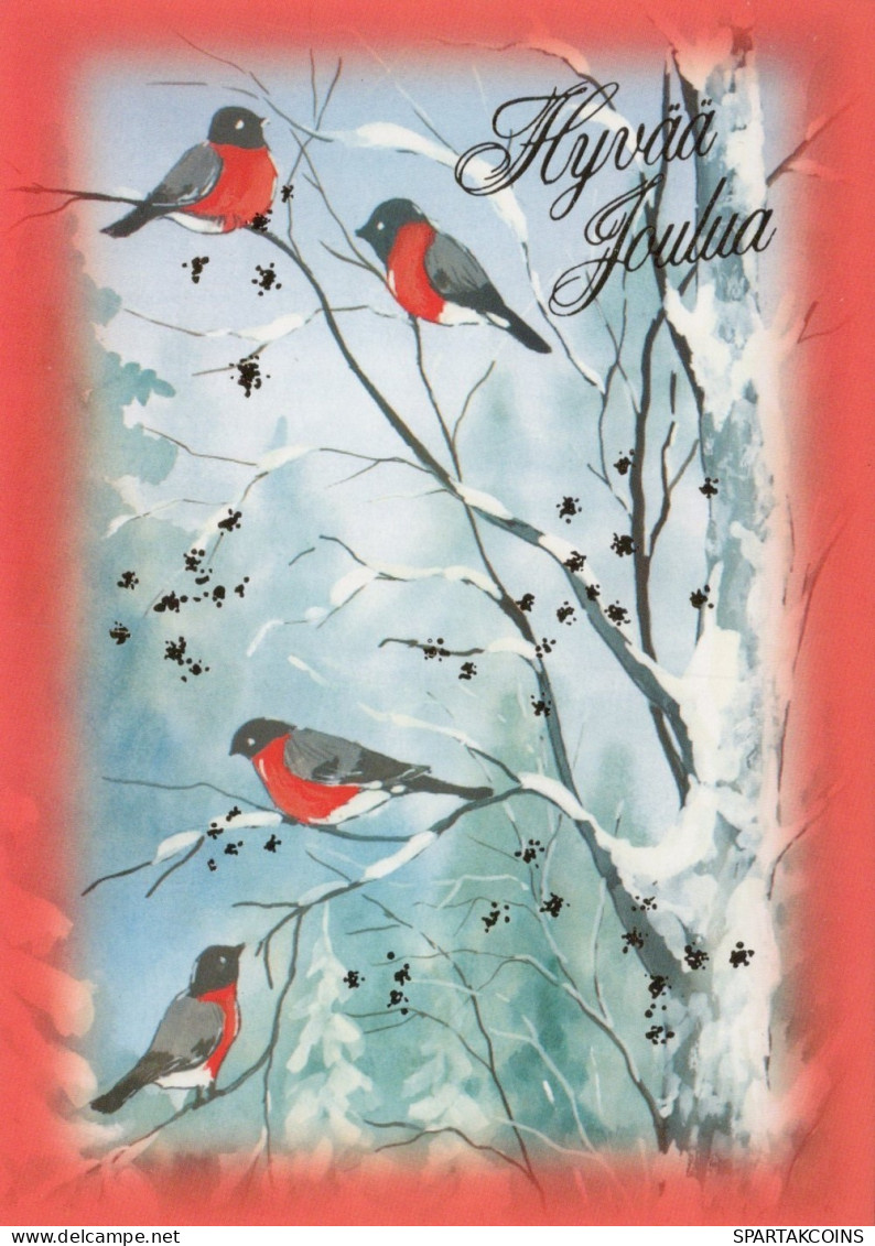UCCELLO Animale Vintage Cartolina CPSM #PAM838.A - Birds
