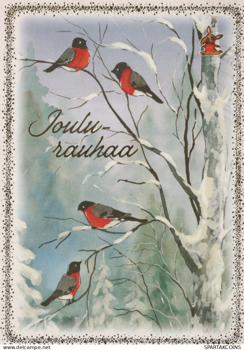 OISEAU Animaux Vintage Carte Postale CPSM #PAM834.A - Pájaros