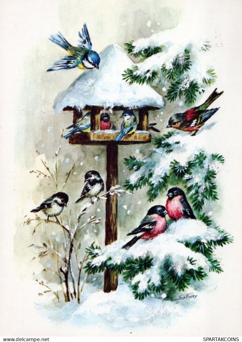 UCCELLO Animale Vintage Cartolina CPSM #PAM758.A - Pájaros