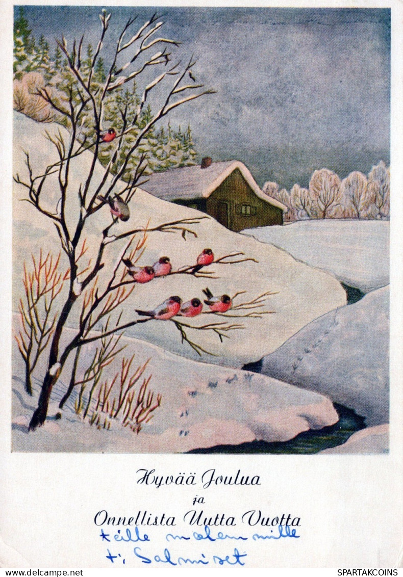 OISEAU Animaux Vintage Carte Postale CPSM #PAM759.A - Pájaros