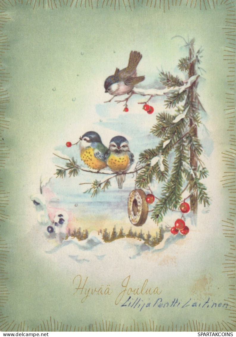 BIRD Animals Vintage Postcard CPSM #PAM661.A - Pájaros