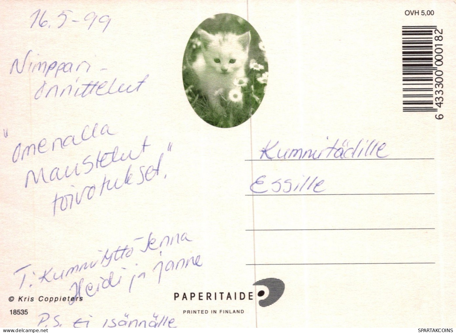 CAT KITTY Animals Vintage Postcard CPSM #PAM371.A - Katzen