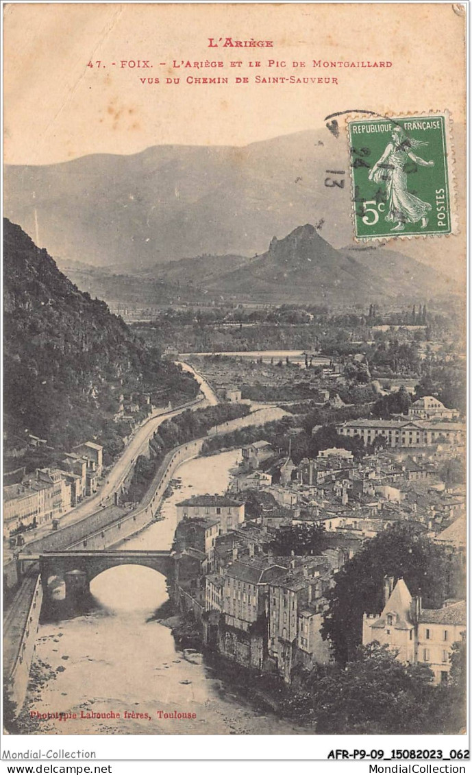 AFRP9-09-0800 - L'ariège - FOIX - L'ariège Et Le Pic De Montgaillard - Vue Du Chemin De Saint-sauveur - Foix