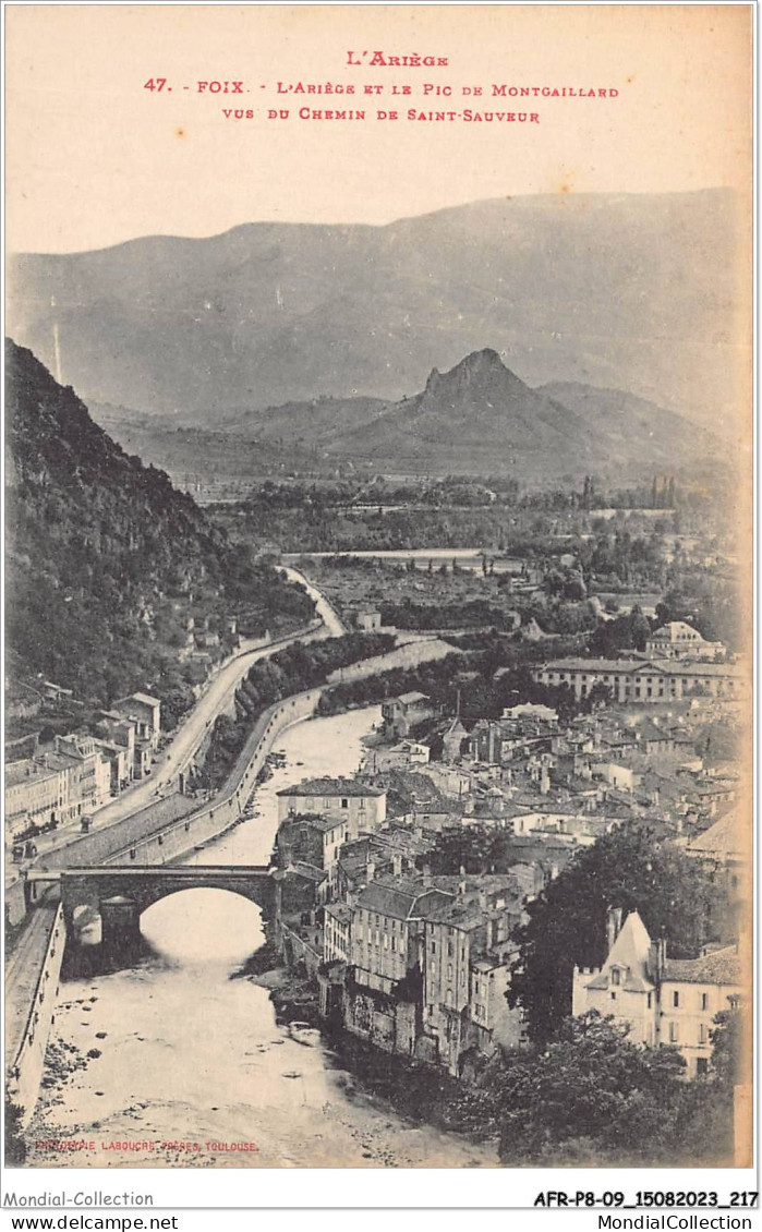 AFRP8-09-0761 - FOIX - L'ariège Et Le Pic De Montgaillard - Vue Du Chemin De Saint-sauveur - Foix