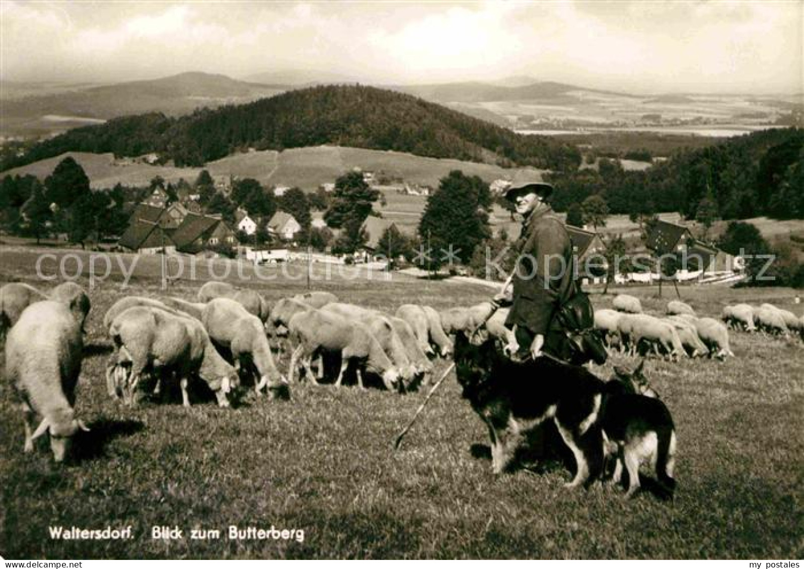 72634231 Waltersdorf Bad Blick Zum Butterberg Waltersdorf Bad - Sonstige & Ohne Zuordnung