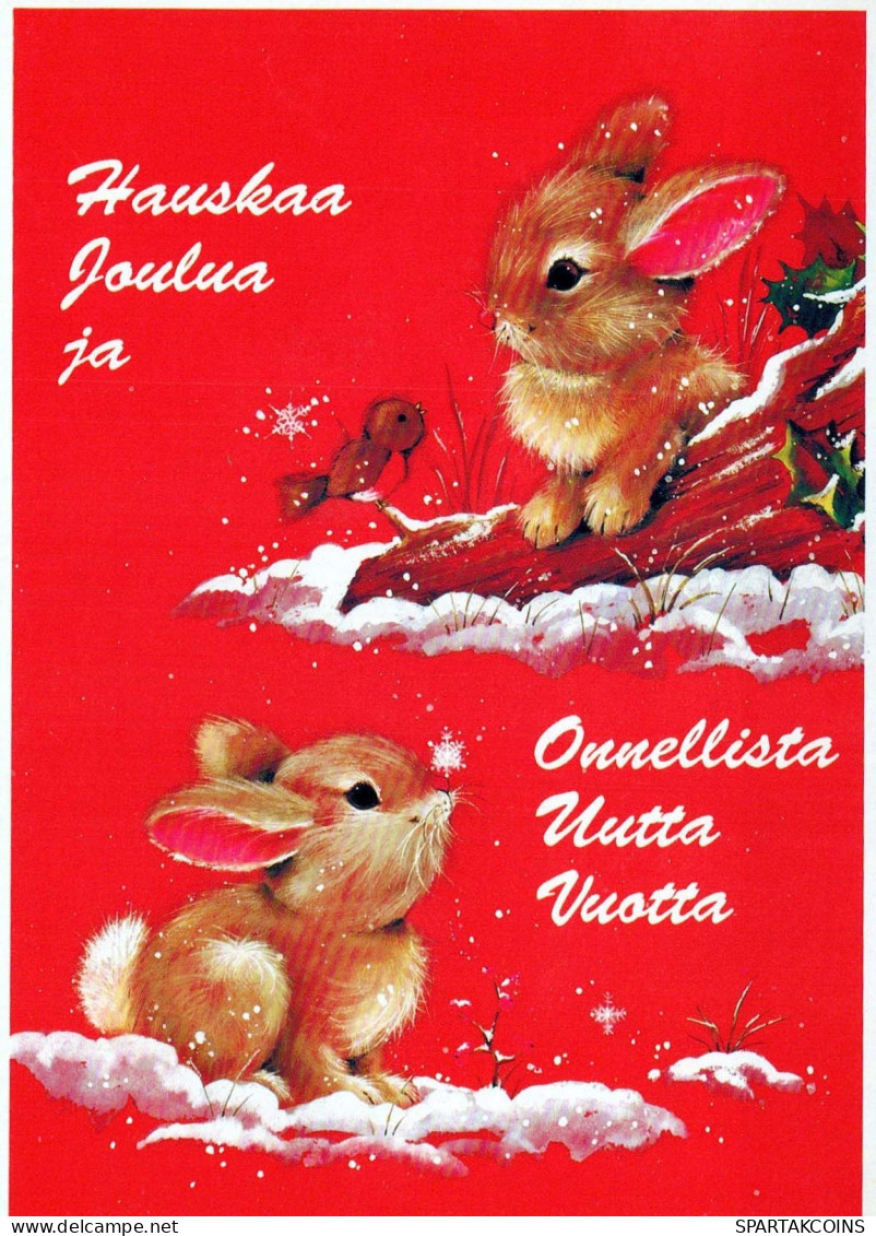 Buon Anno Natale CONIGLIO Vintage Cartolina CPSM #PAV259.A - Nouvel An