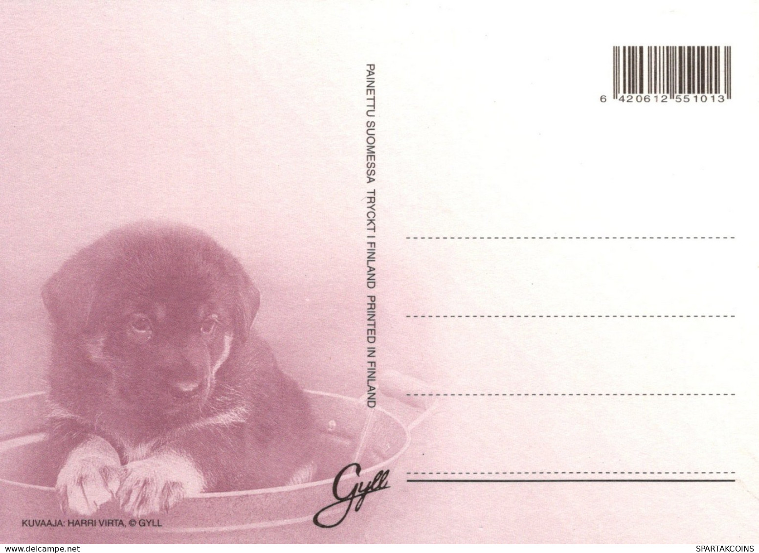 PERRO Animales Vintage Tarjeta Postal CPSM #PAN638.A - Honden