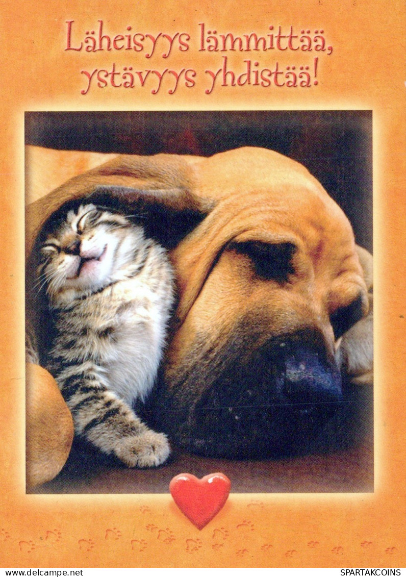 CHIEN Animaux Vintage Carte Postale CPSM #PAN555.A - Hunde