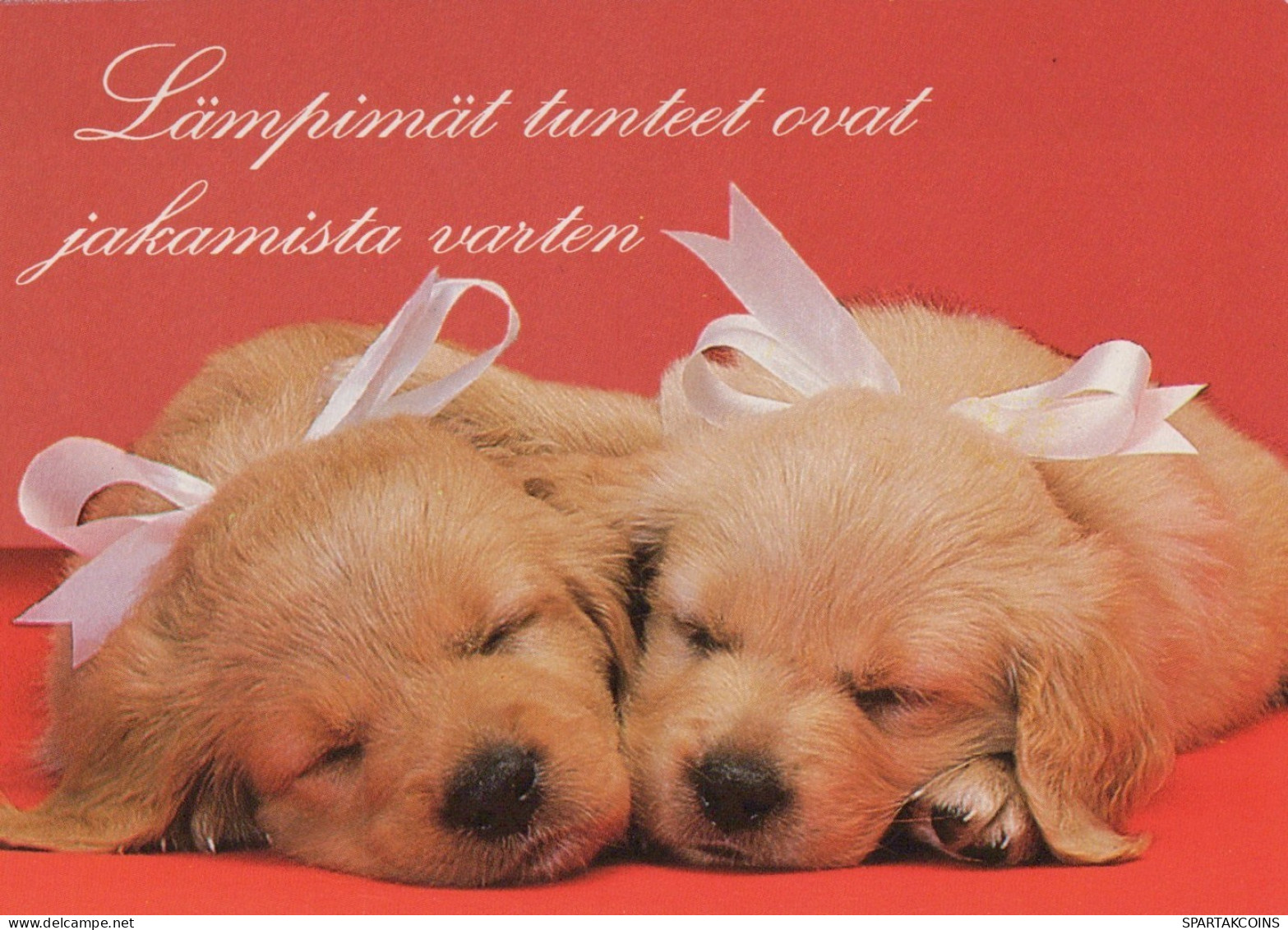 HUND Tier Vintage Ansichtskarte Postkarte CPSM #PAN451.A - Hunde