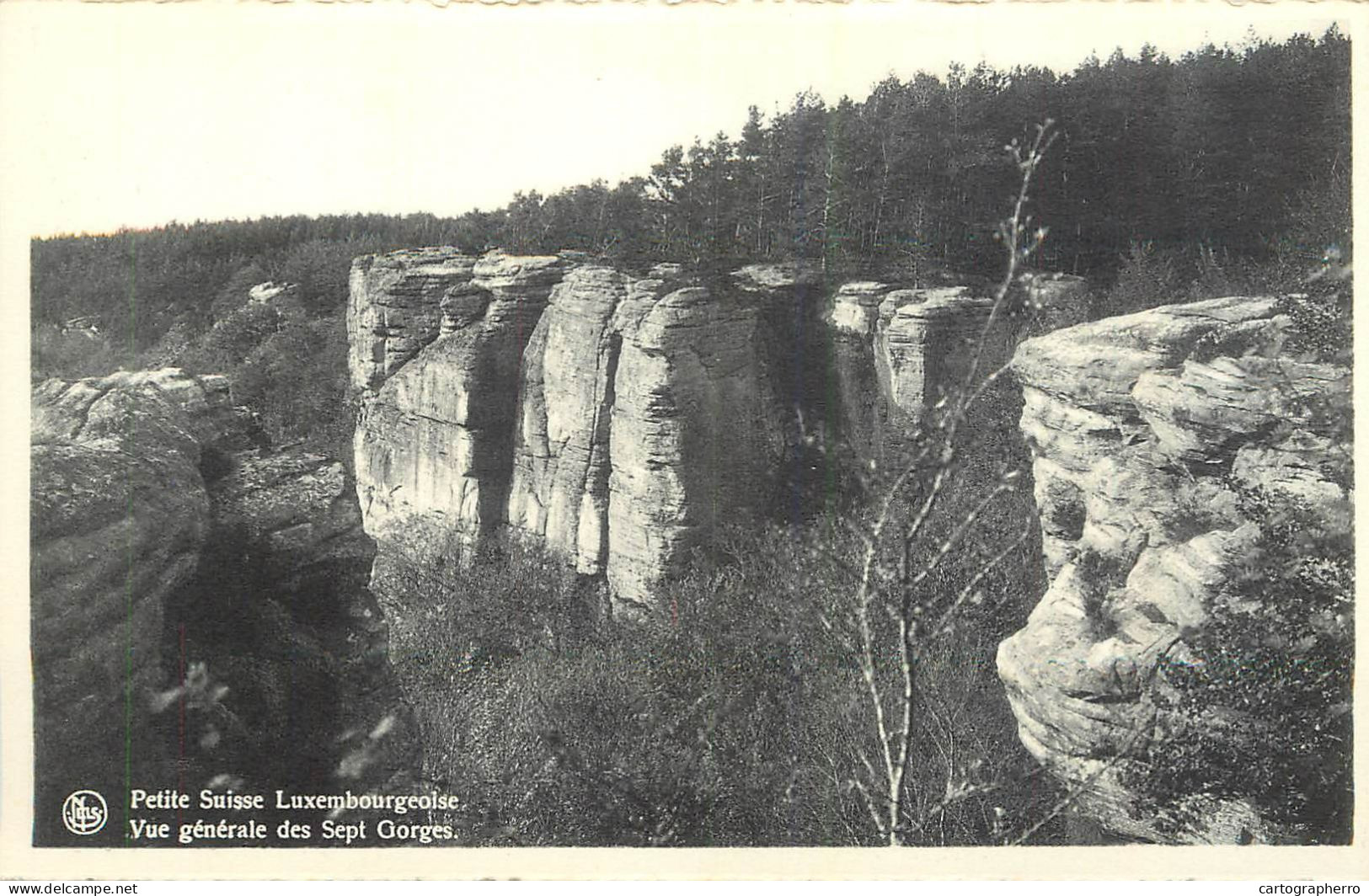 Luxembourg Berdorf (Petite Suisse Luxemborgeoise) Vue Generale Des Sept Gorges - Berdorf