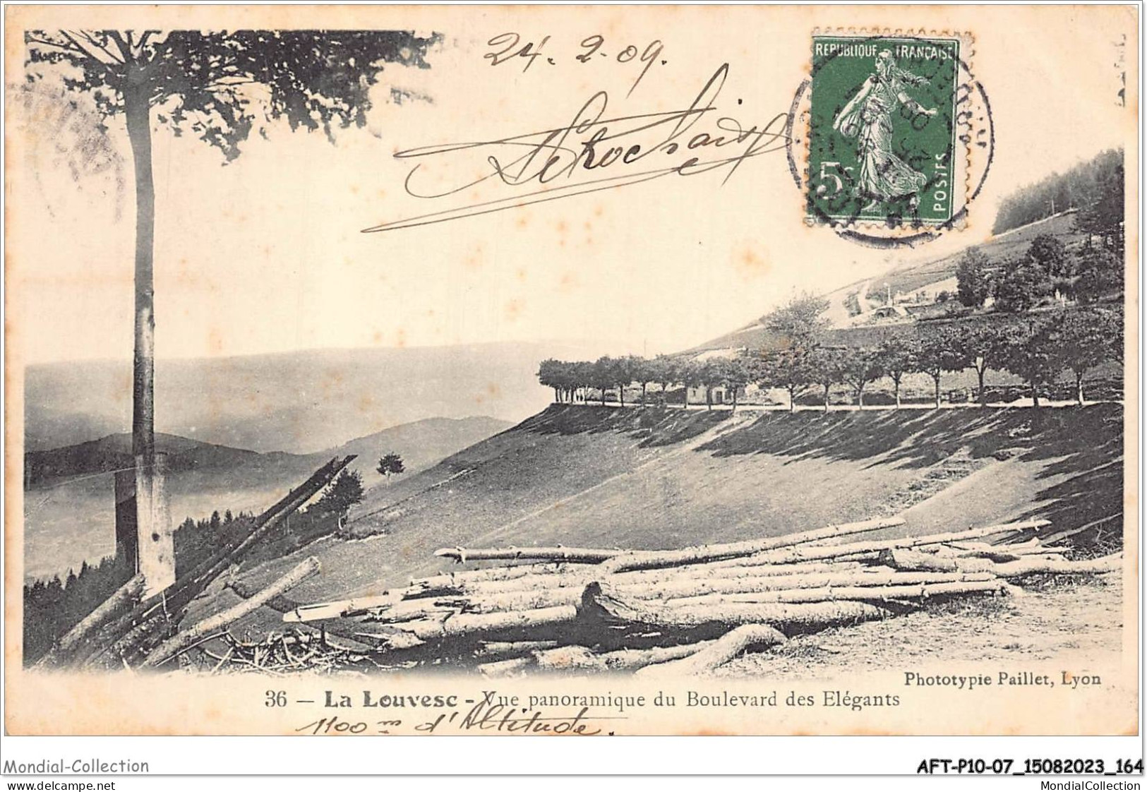 AFTP10-07-1006 - LA LOUVESC - Vue Panoramique Du Boulevqrd Des Elegants - La Louvesc