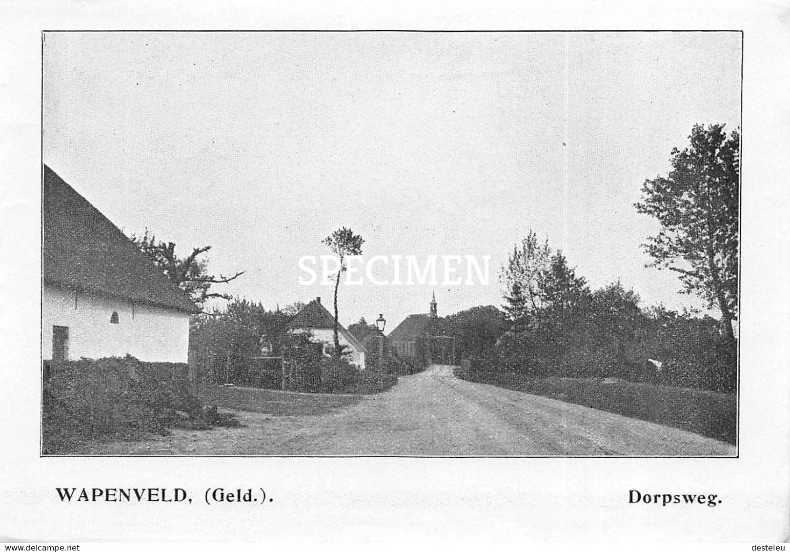 Prent - Dorpsweg - Wapenveld  - 8.5x12.5 Cm - Other & Unclassified