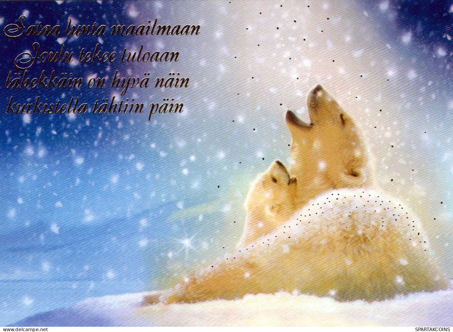 NASCERE Animale Vintage Cartolina CPSM #PBS312.A - Bären