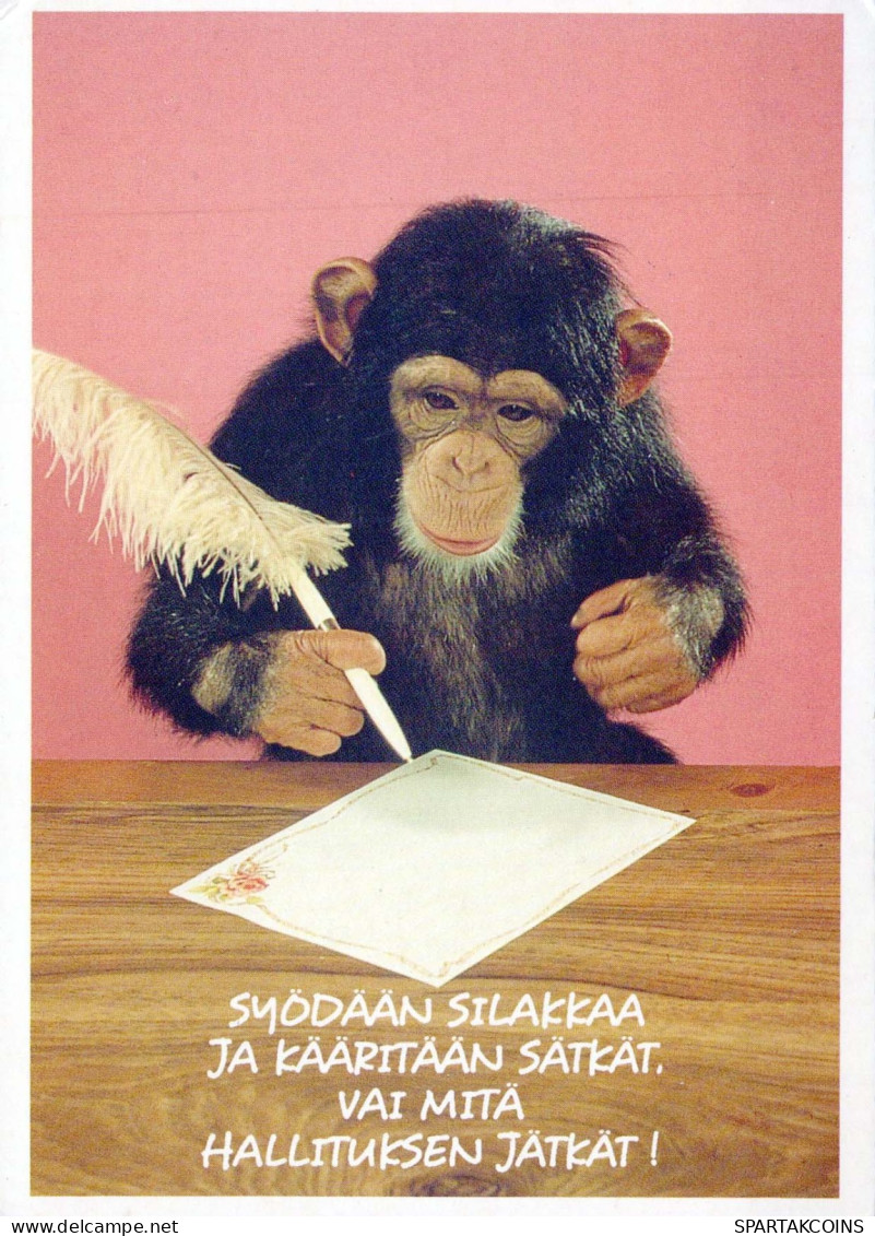 MONO Animales Vintage Tarjeta Postal CPSM #PBS006.A - Monkeys
