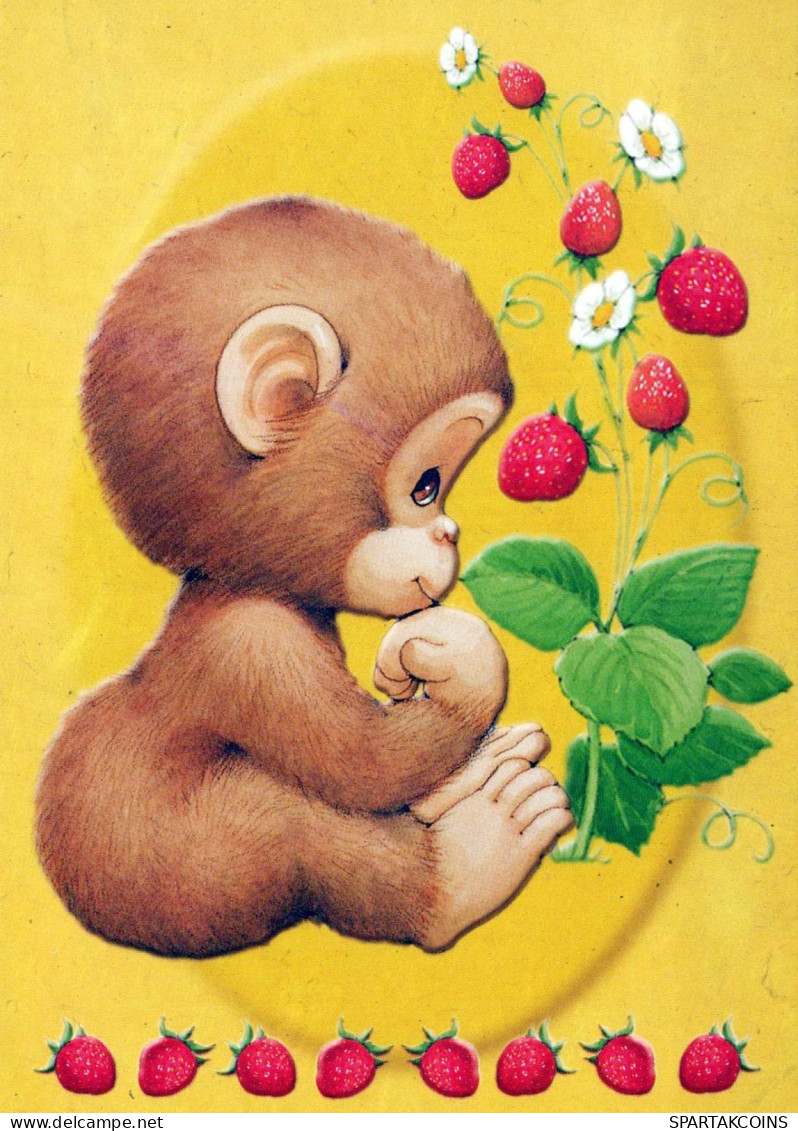 MONKEY Animals Vintage Postcard CPSM #PBR979.A - Monkeys
