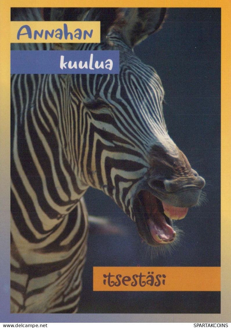 ZÈBRE Animaux Vintage Carte Postale CPSM #PBR932.A - Zebras