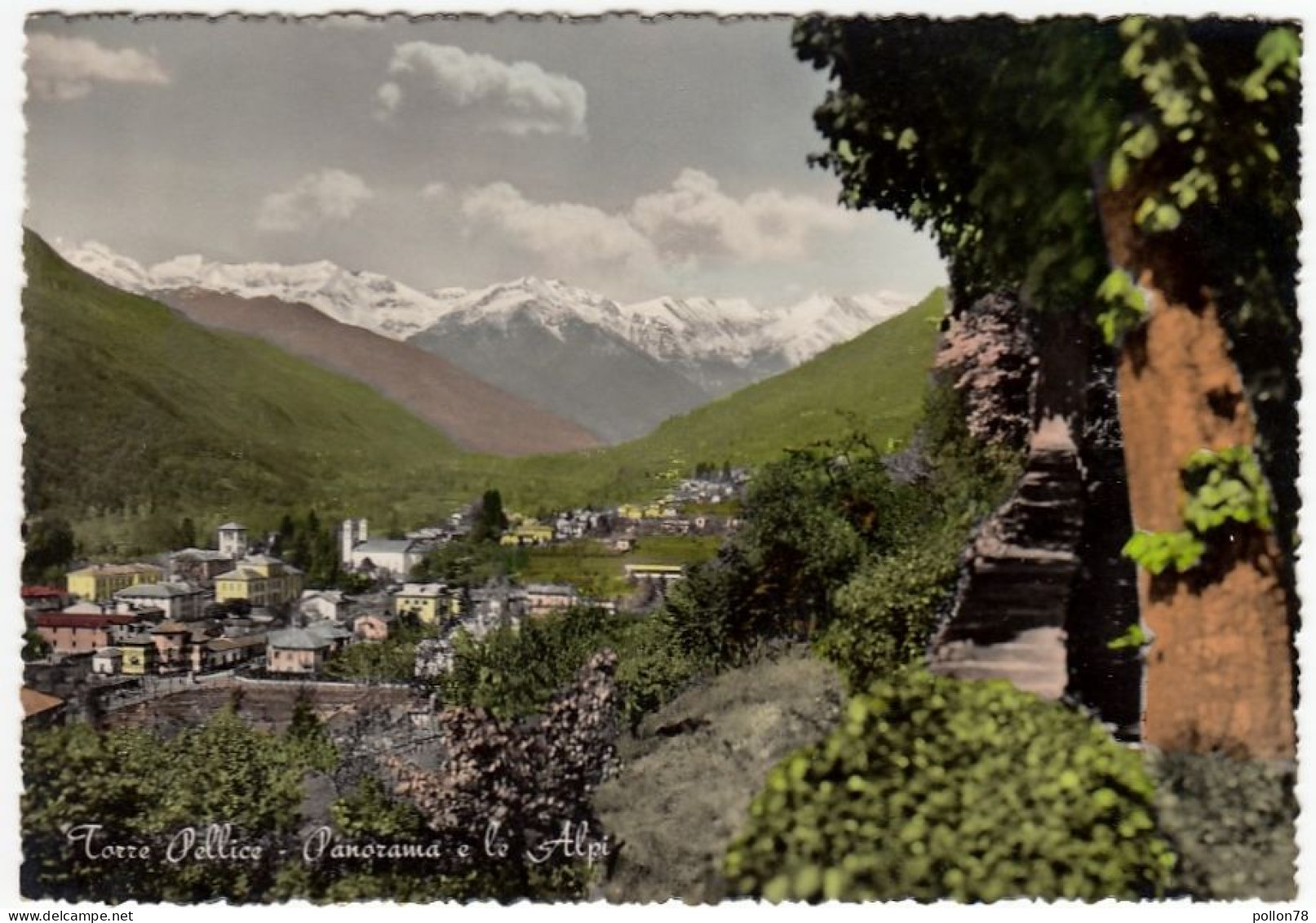 TORRE PELLICE - PANORAMA E LE ALPI - TORINO - Vedi Retro - Autres & Non Classés