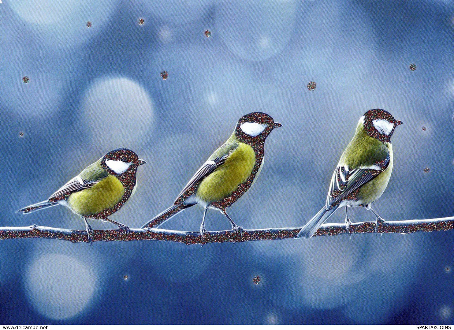 UCCELLO Animale Vintage Cartolina CPSM #PBR736.A - Pájaros
