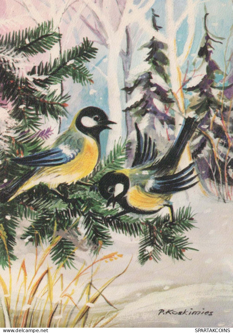 VOGEL Tier Vintage Ansichtskarte Postkarte CPSM #PBR513.A - Vögel