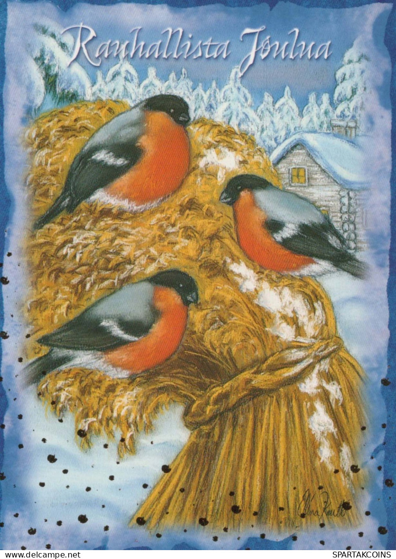 UCCELLO Animale Vintage Cartolina CPSM #PBR401.A - Vögel