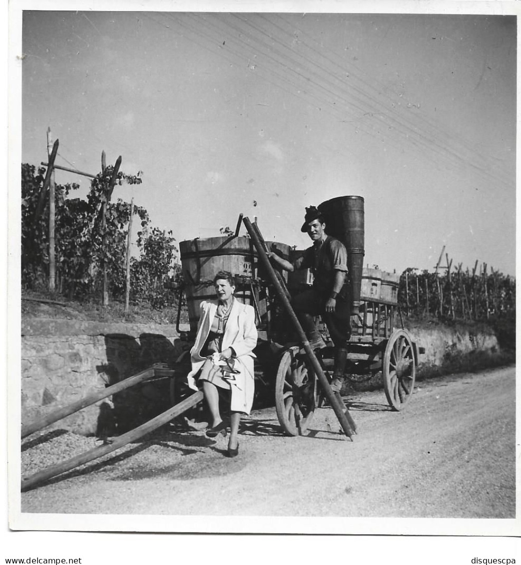 PHOTO  Vendange En Alsace - Sonstige & Ohne Zuordnung