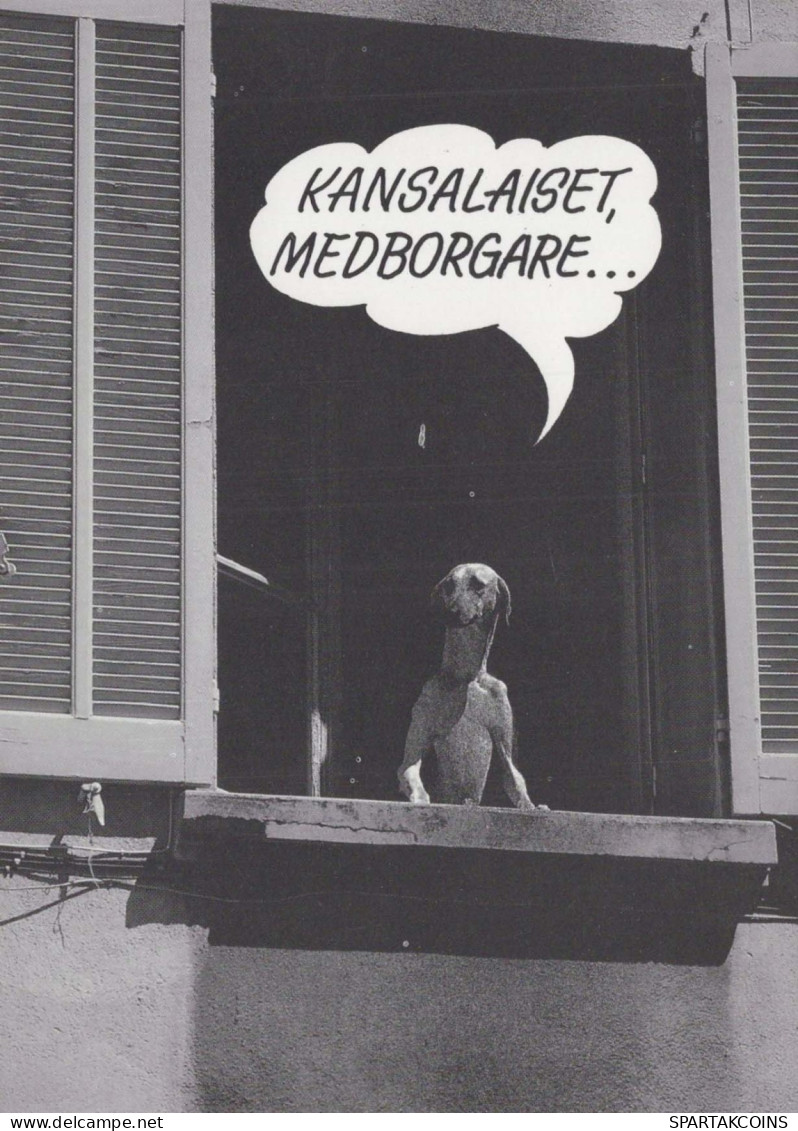 DOG Animals Vintage Postcard CPSM #PBQ538.A - Hunde