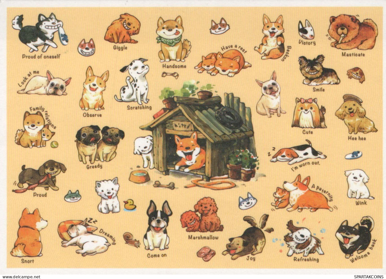 CANE Animale Vintage Cartolina CPSM #PBQ350.A - Dogs