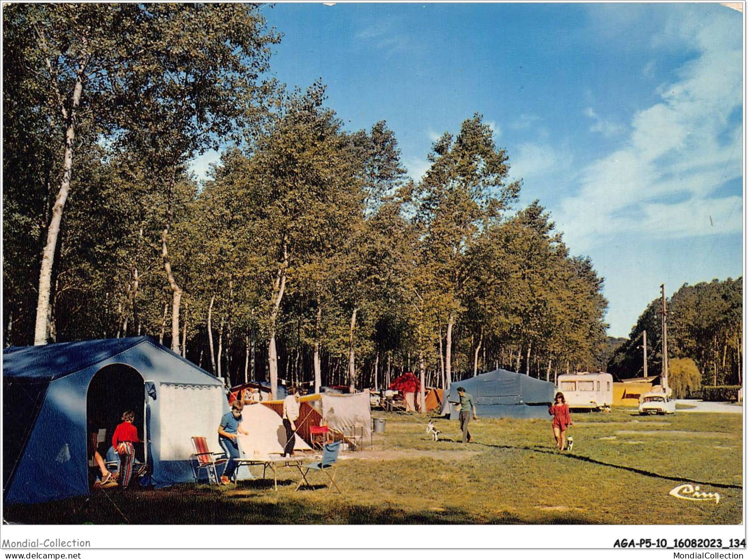 AGAP5-10-0428 - BAR-SUR-SEINE - Camping De La Motte Hoire  - Bar-sur-Seine