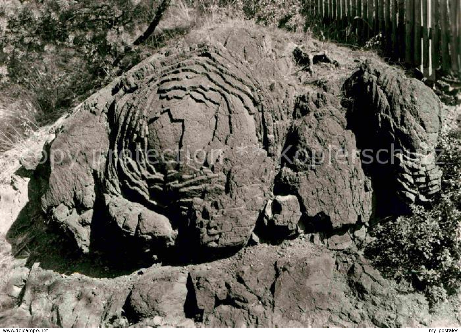 72633801 Graefenwarth Steinrose Natur Handabzug Graefenwarth - Schleiz